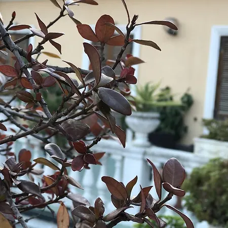Hotel Piemontese 2*
