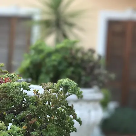Piemontese 2* Imperia