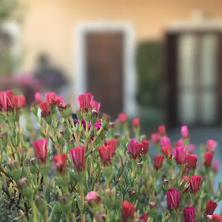 Piemontese 2* 因佩里亚