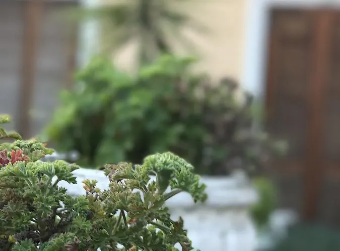 Piemontese 2* Imperia