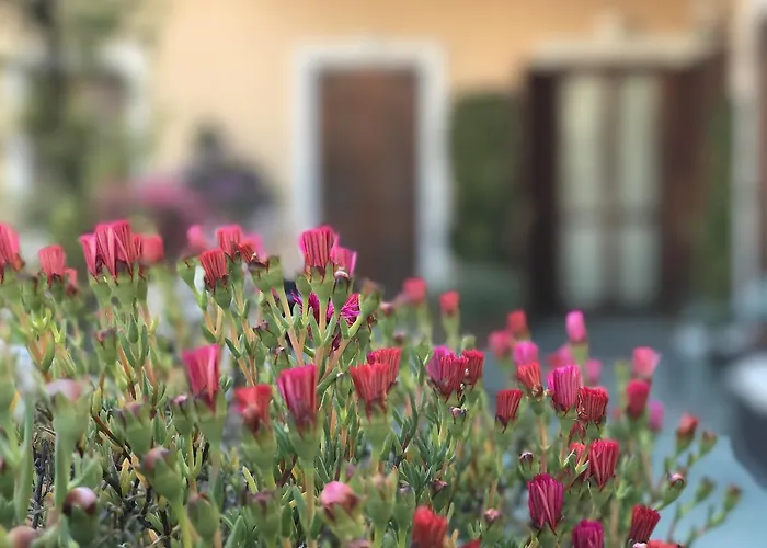 Piemontese 2* Imperia