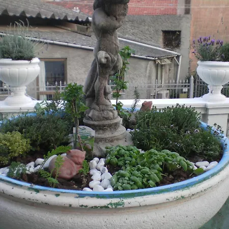 호텔 Piemontese 2*