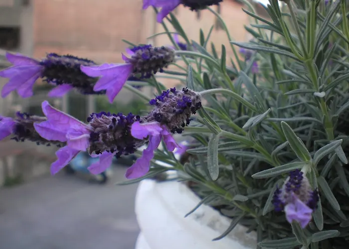 Szálloda Piemontese 2*